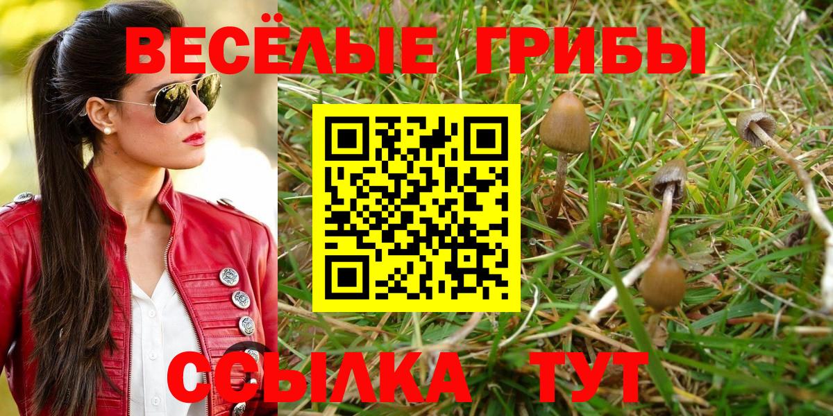 Галлюциногенные грибы MAGIC MUSHROOMS  наркошоп  Сосновоборск  Вход с VPN 